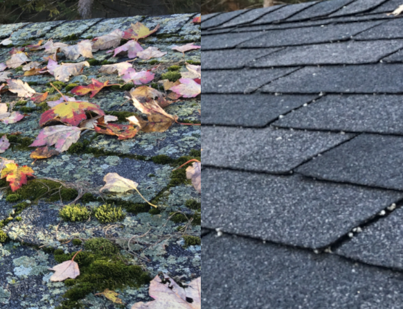 Side-by-side comparison of moss-covered shingles and clean shingles after soft roof washing