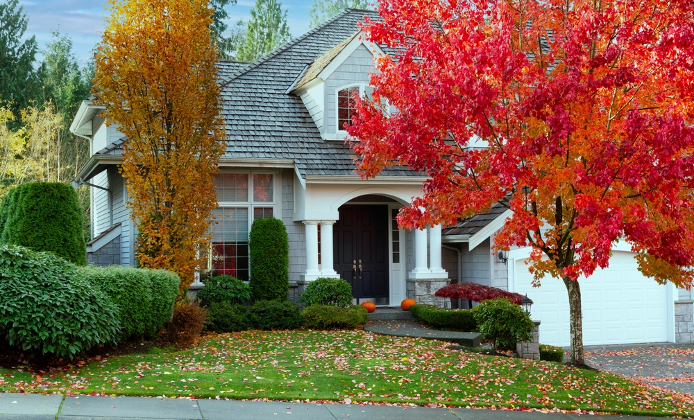 Westchester NY home during fall season surrounded by trees that can clog gutters